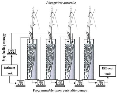 Nitrogen removal performance and bacterial community analysis of a multistage step-feeding tidal flow constructed wetland